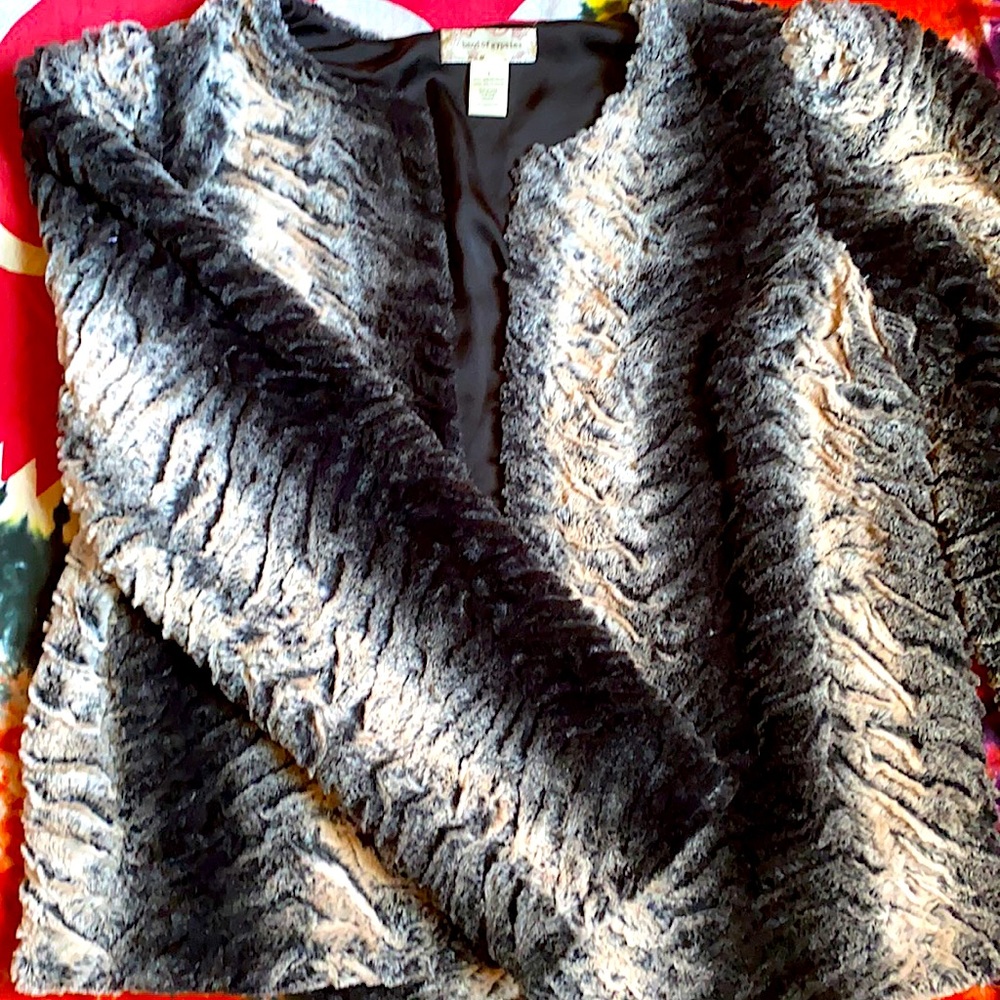 Ombré Faux Fur Open Jacket- Band of Gypsies